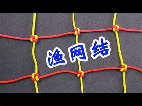 結網 意思|結網的解釋